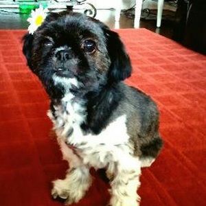 Meet your Posher, Maritza